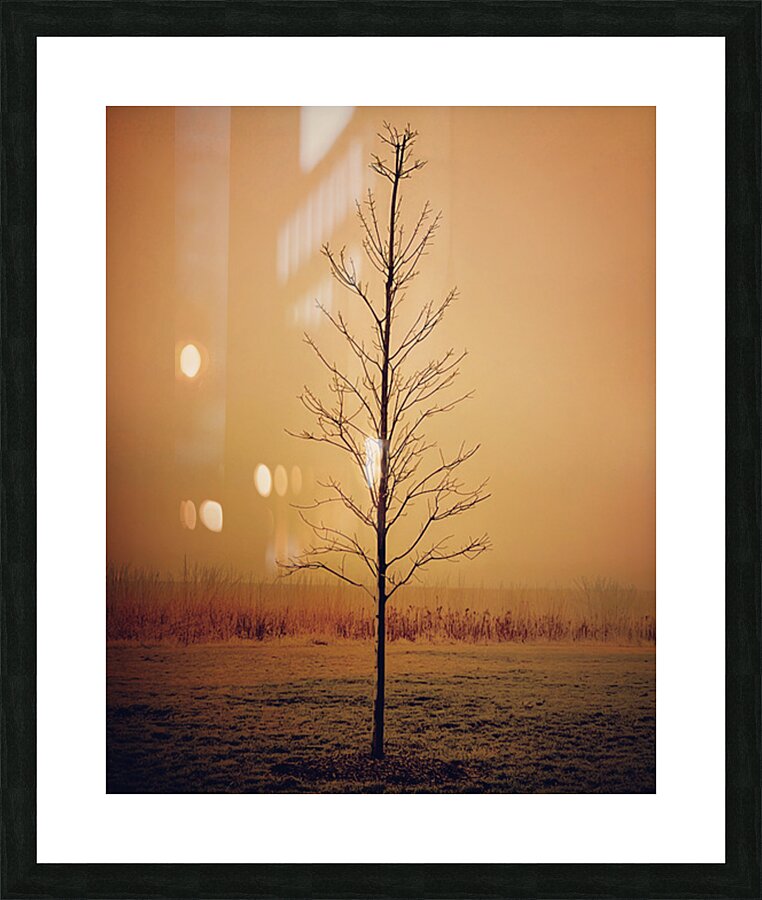 Late Autumn Picture Frame print