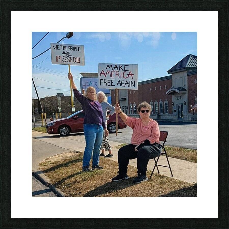 No Kings Protest  Picture Frame print