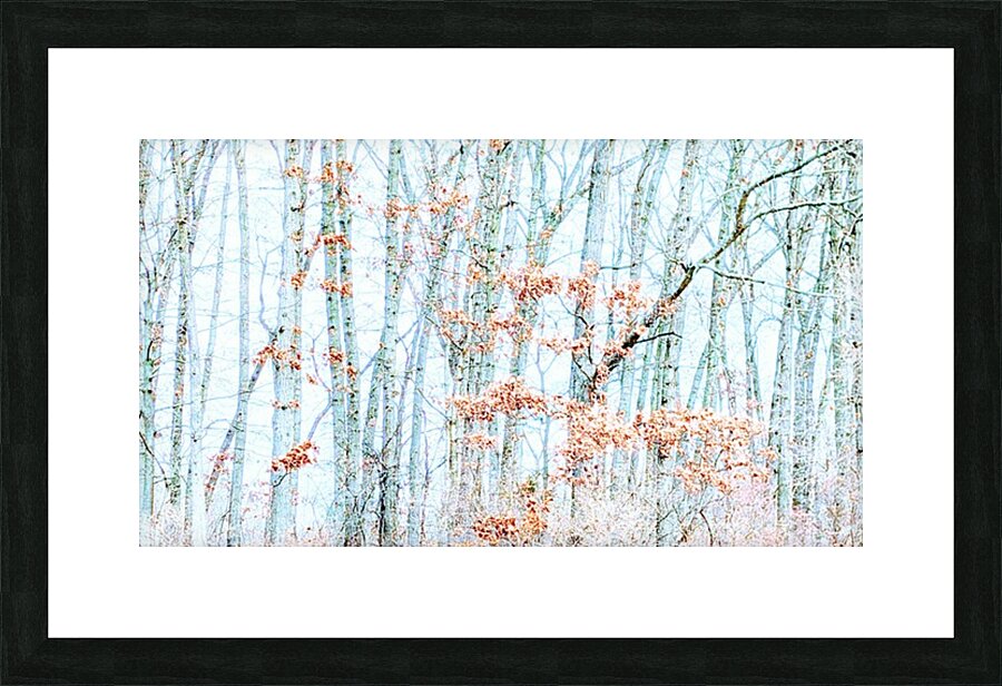A Winters Day  Picture Frame print