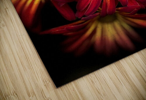 Dehlia michael stephens puzzle