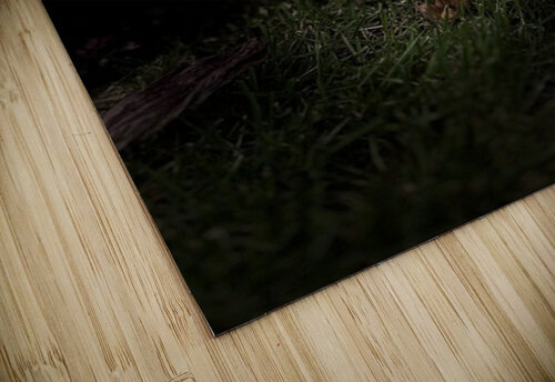 Herbaceous michael stephens puzzle