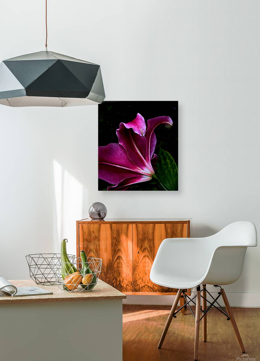 Stargazer Reproduction