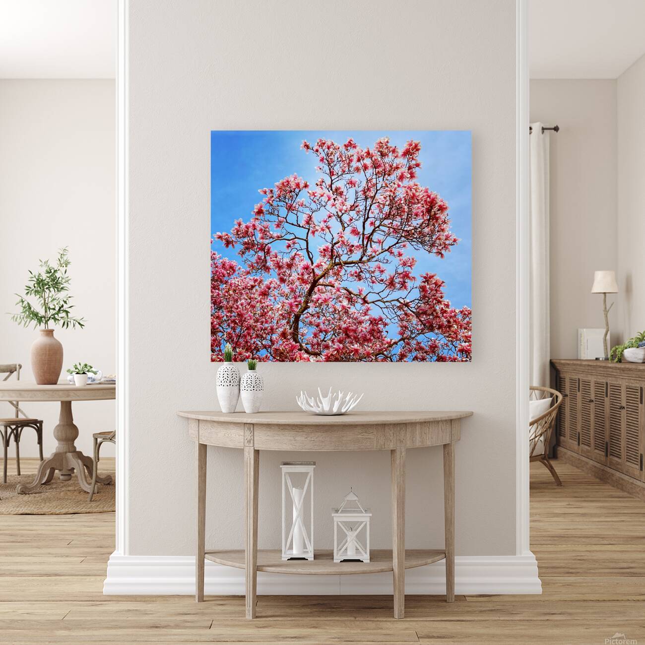 Magnolia Reproduction