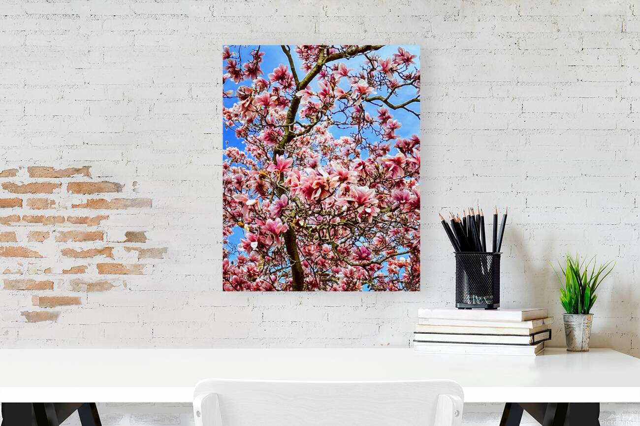 Magnolia Reproduction