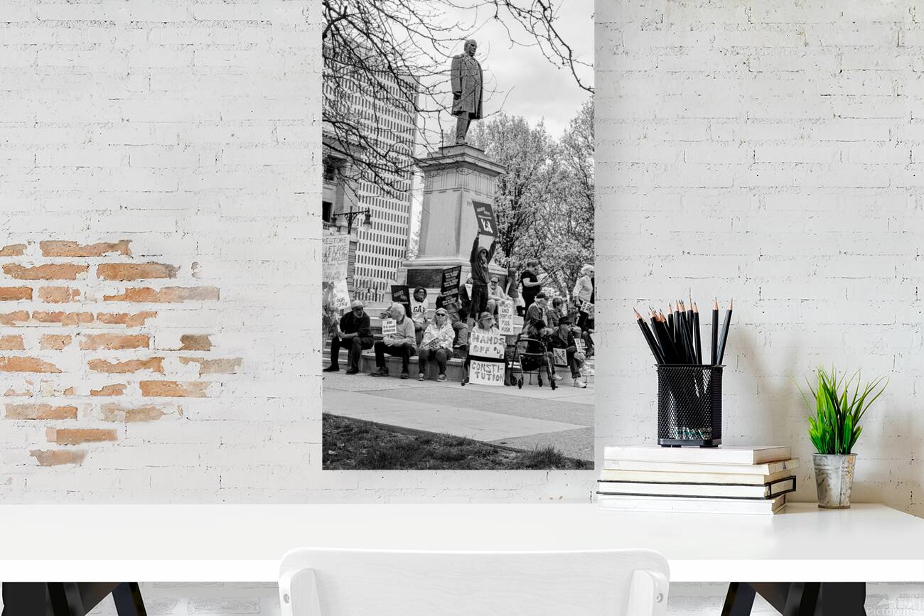 Protest Reproduction