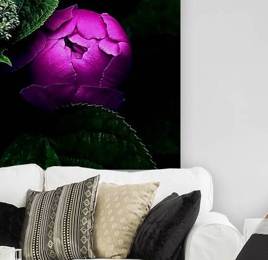 Pink Peony Reproduction