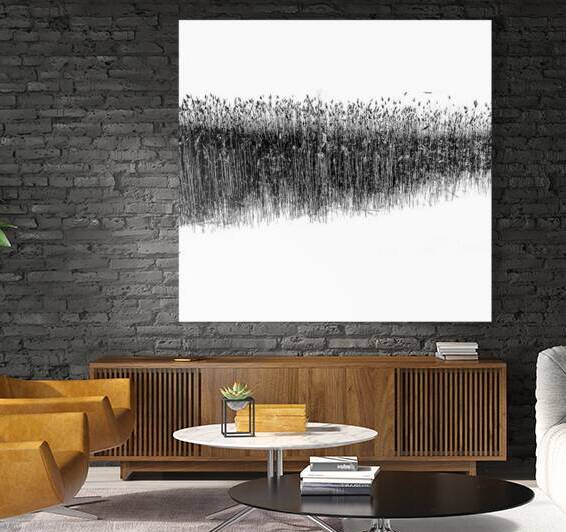 Winter Grass Reproduction