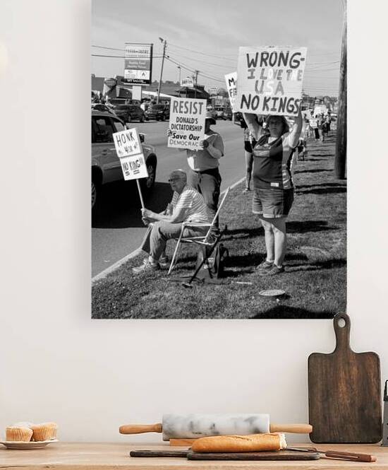 No Kings Protest  by michael stephens