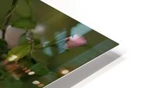 White Gardenia HD Metal print