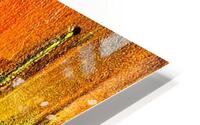 Rust HD Metal print
