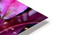 Stargazer HD Metal print