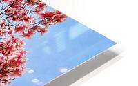 Magnolia HD Metal print