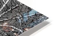 Birch HD Metal print