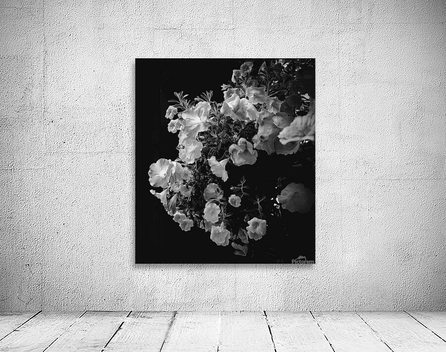 Geranium Wall Preview