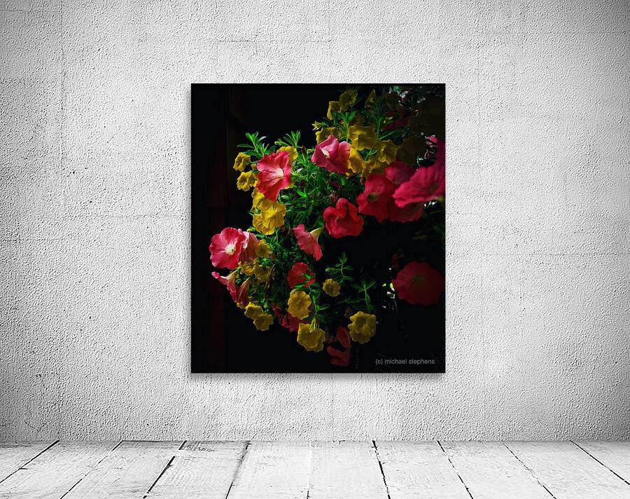 Geranium Wall Preview