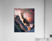  Mountain goat Acrylic Print