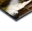 Webs and Parts Acrylic print