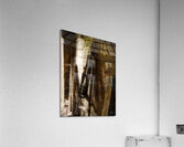 Webs and Parts Acrylic Print