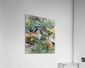 Chipmunk Acrylic Print