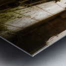 Webs and Parts Metal print