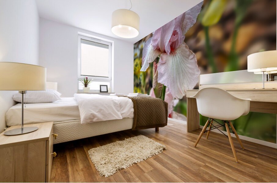 Pink Iris Mural print