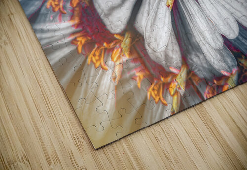 Kalei-zinnia Kelly S Larson puzzle