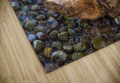WetStone Glow Kelly S Larson puzzle