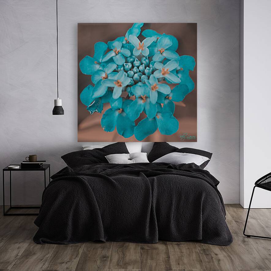 Candytuft Wildflower Blue Reproduction