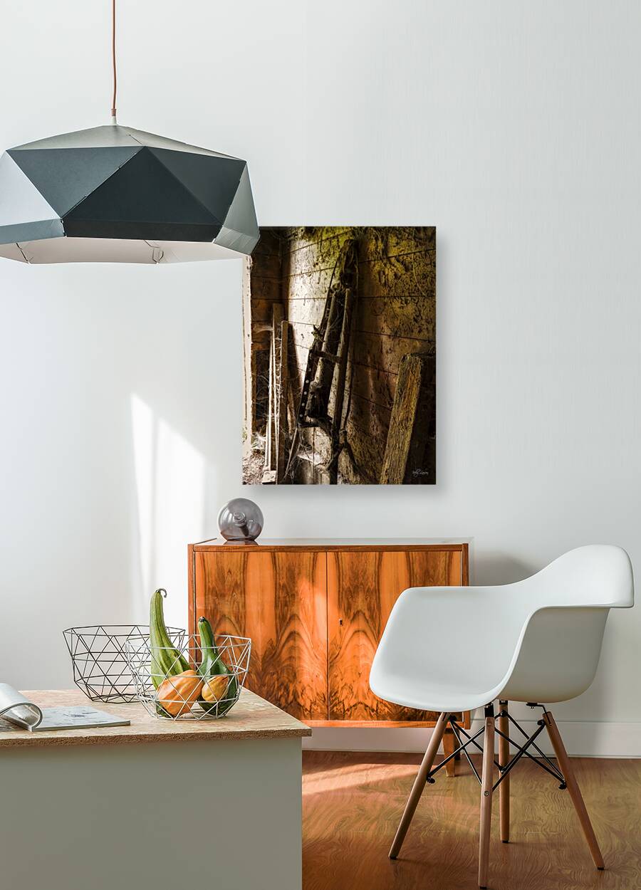 Webs and Parts Reproduction