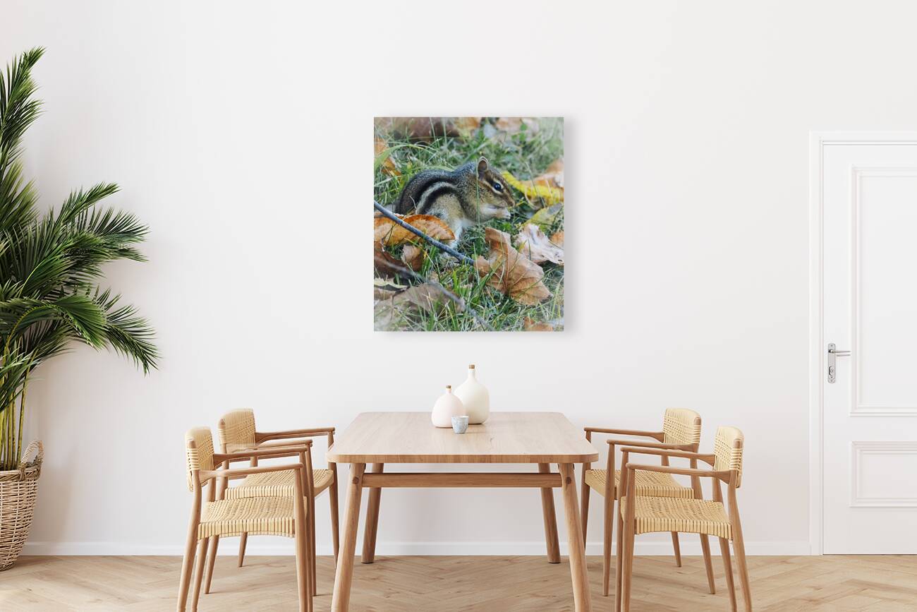 Chipmunk Reproduction