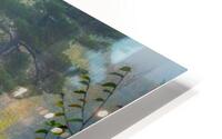 Banning Rapids HD Metal print