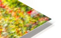 Fall Bision HD Metal print