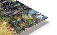 Fishing Time HD Metal print