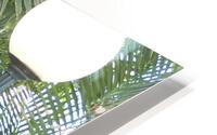 Street Light Palms HD Metal print