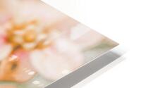 Spring Peach HD Metal print