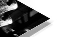Rose Point Crystal 2 HD Metal print