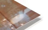 Copper Larry HD Metal print