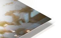 Copper Larry II HD Metal print