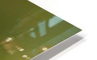 Irridecint Wings HD Metal print