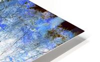 Crystal Forest Blue HD Metal print