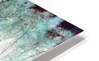 Crystal Forest HD Metal print