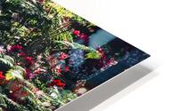 Water Feature HD Metal print