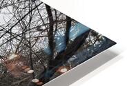Winter Stream HD Metal print