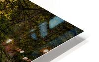 Autumn Walk HD Metal print