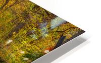 Beaver Creek Tree Bridge HD Metal print