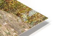 Drought Creek HD Metal print