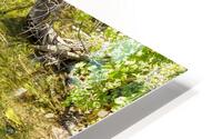 Glitter Reflections HD Metal print