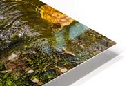 Babling Brook HD Metal print