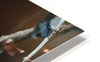 Gull HD Metal print