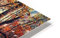 Hypermode Fall HD Metal print